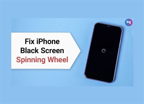 iPhone Black Screen Spinning Wheel? 5 Ways to Fix It - TechQlik