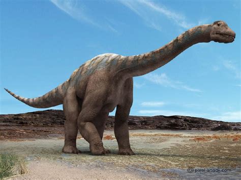 Argentinosaurus - Alchetron, The Free Social Encyclopedia