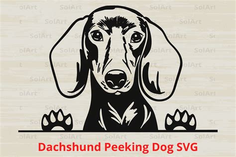 Dachshund Peeking Dog SVG Graphic by Solart · Creative Fabrica