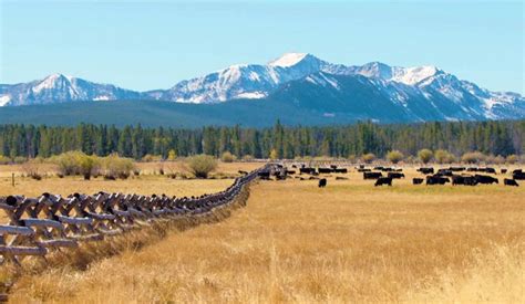 Montana Cattle Ranch For Sale: JY Bagby Ranch | Swan Land Company ...