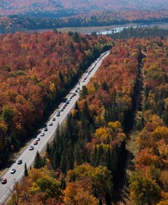 Fall colours at Algonquin Provincial Park