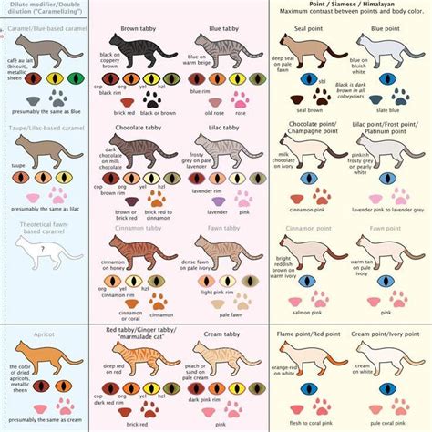 Housecat Coat Colors and Patterns | Cat breeds chart, Gorgeous cats ...