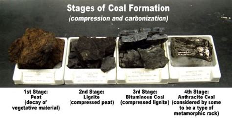 Coal – Formation of Coal – Types of Coal | PMF IAS