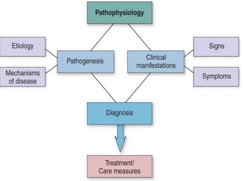 Pathophysiology concept map | Nursing students, Concept map, Nurse