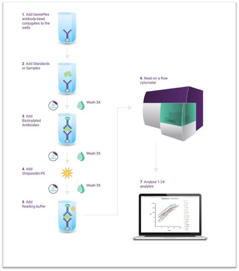 Multiplex ELISA Protocol | Assay Genie