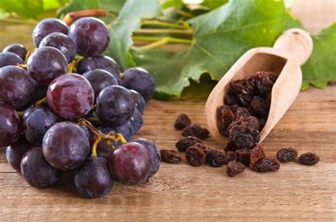 Grapes and Raisins Can Be Dangerous for Your Pets | ThriftyFun