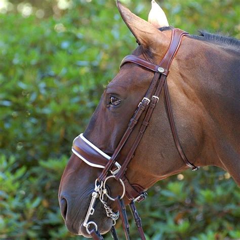 Pin by Pinner on English Tack | Double bridle, Dressage, Pretty horses