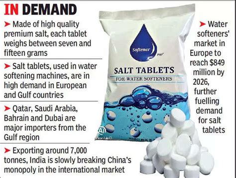 Gujarat: Made-in-Kutch salt tablets help Europe get pure water | Rajkot ...