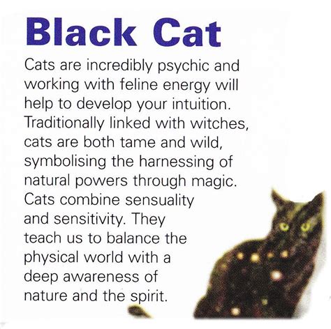 A Little Bit Of Everything | Cat spirit, Animal spirit guides, Spirit ...