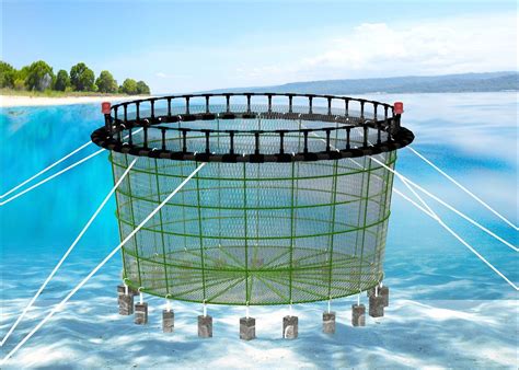 PE Fishing Cage/ Floating Fish Cage in Deepsea for Sea Aquaculature ...