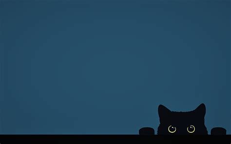 1920x1200px | free download | HD wallpaper: minimalism, Cat, funny ...