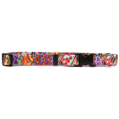 Amazon Floral Dog Collar by Yellow Dog | BaxterBoo