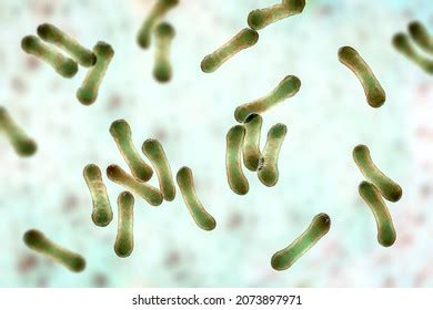 Scientific Image Bacteria Corynebacterium Showing Their Stock ...