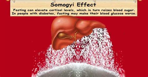 Somogyi Effect | Liver Dump