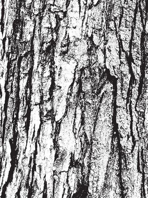 Tree Bark Texture Vector Art, Icons, and Graphics for Free Download