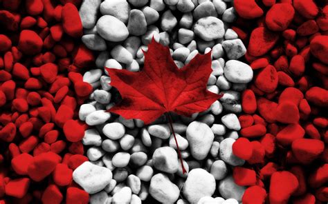 Canadian Flag Ipad Wallpaper