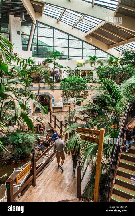 The subtropical Plaza, Centre parcs, Longleat, Wiltshire, England ...