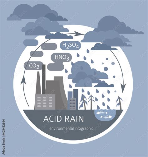 Global environmental problems. Acid rain infographic Stock Vector ...