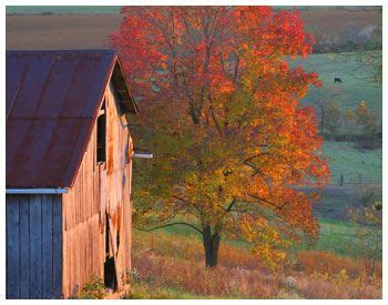 City of Marion Kentucky Tourism Commission | Kentucky tourism, Tourism ...