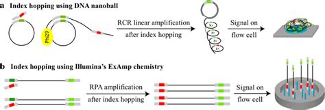 Mechanisms of index hopping on different sequencing platforms. a ...