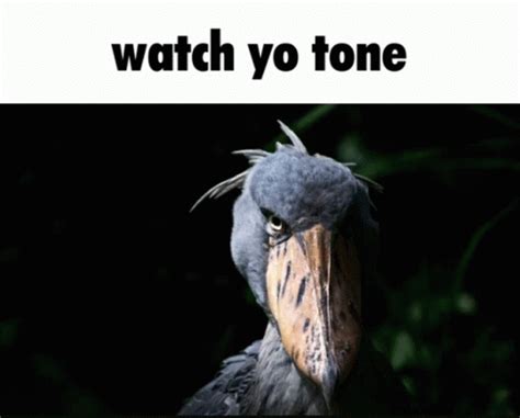 Watch Yo Tone Meme - Watch Yo Tone - Discover & Share GIFs