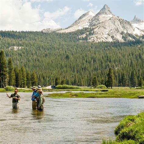 Yosemite Fly Fishing School - Sierra Fly Fisher