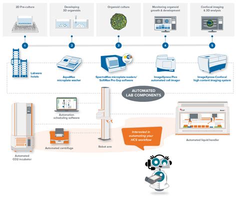 Lab Automation for High Content Screening (HCS) | Molecular Devices