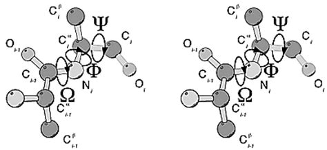 Applying Inverse Kinematics to Animate Molecules