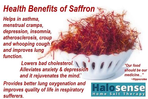 Saffron Flower Benefits | Best Flower Site