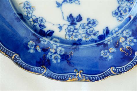 Selep Imaging Blog: Flow Blue China Patterns