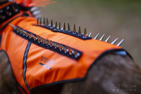 Coyote Vest - SpikeVest Review