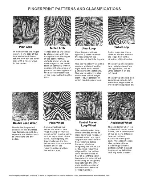 Different Types of Whorl fingerprint....! :)