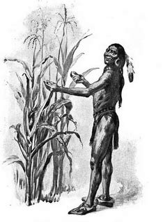 Illustration of Squanto demonstrating how well the pilgrim's crops grew ...