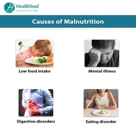 Malnutrition : Causes, Symptoms, Diagnosis and Treatment – Healthsoul