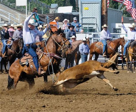 Purpose: Why Clay O'Brien Cooper is the Heeler of the Year | Spin To ...