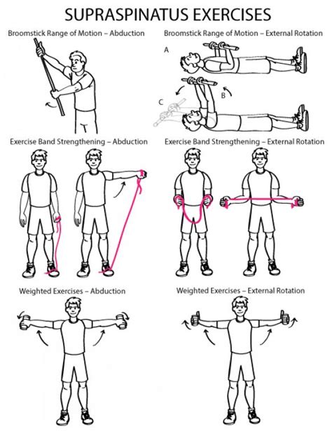 Supraspinatus Exercises mobility exercises shoulder #Mobilityexercises ...