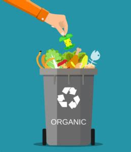 What is Organic Waste and How Should it be Handled? - Miller Recycling