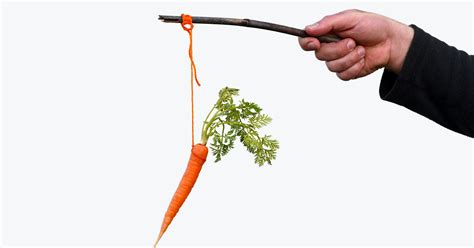 The Carrot and Stick Approach to OTT Content | Incognito Blog