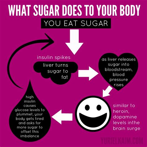 Sugar Detox Plan: A 10-Step Blueprint for Quitting Sugar | Yuri Elkaim