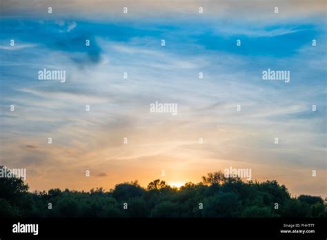 Sunset over forest silhouette Stock Photo - Alamy