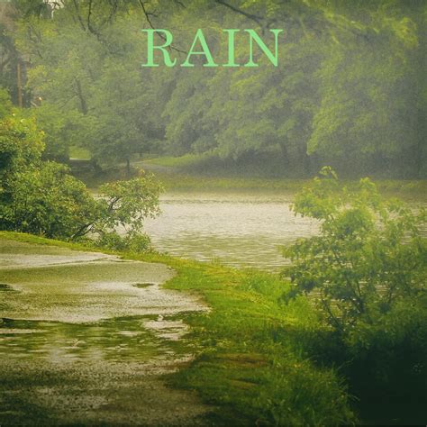 ‎Rain - Album by Rain Studios - Apple Music