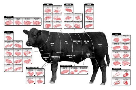 Beef Cuts Of Meat Butcher Chart Cattle Diagram Poster 24inx36in Poster ...