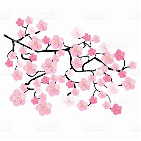 Cherry Blossom Tree Branch Drawing | Free download on ClipArtMag