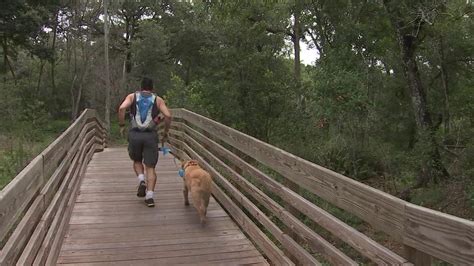 Get back to nature at a Hillsborough County park | FOX 13 Tampa Bay