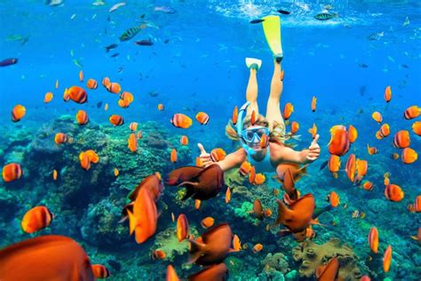 25 Best Snorkeling Spots in Oahu, Hawaii (with Map) - TourScanner