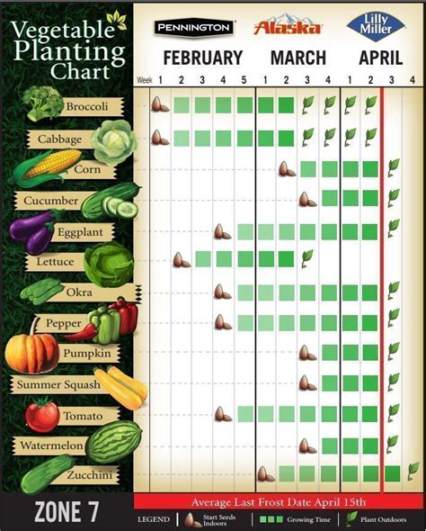 Vegetable Planting Chart for Zone 7 || Here is what my planting chart ...