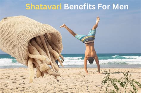 6 Shatavari Powder Benefits For Men – Saptamveda