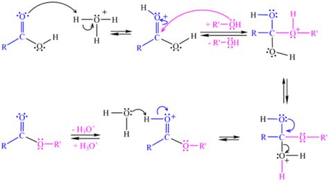 Esterification Mechanism