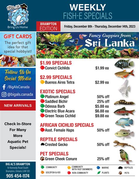 Big Al's (Brampton) Weekly Specials December 8 to 14