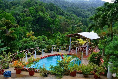 Aripo Eco Resort, Trinidad. | Trinidad, Beautiful homes, Island girl